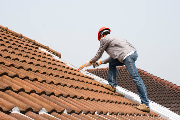 Best Asphalt Shingle Roofing  in Rantoul, IL