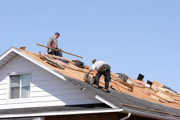 Best Rubber Roofing (EPDM, TPO)  in Rantoul, IL